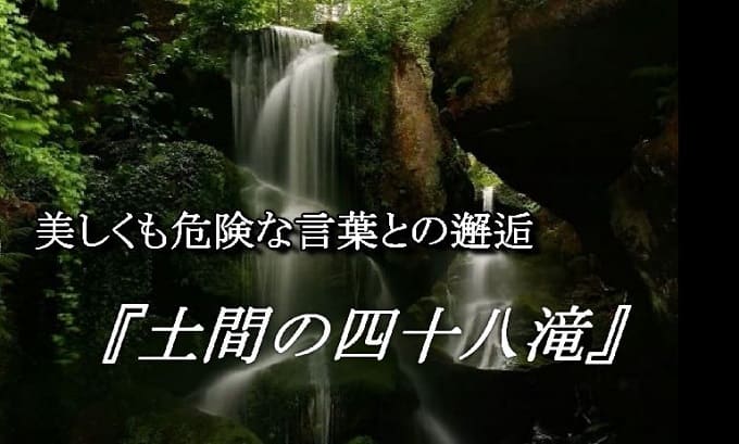 美しくも危険な言葉との邂逅 土間の四十八滝 今日も本屋で浮いています 美しくも危険な言葉との邂逅 土間の四十八滝 今日も本屋で浮いています